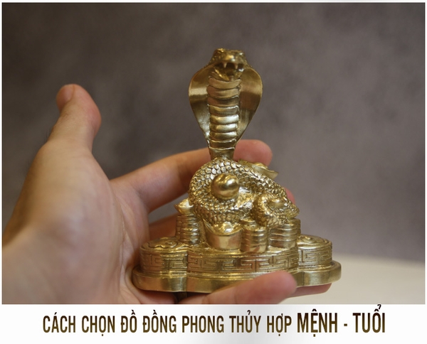 CÁCH CHỌN ĐỒ ĐỒNG PHONG THỦY HỢP TUỔI VÀ MỆNH GIA CHỦ