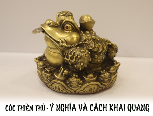 Tìm hiểu Cóc thiềm thừ ? Ý nghĩa – Cách khai quang điểm nhãn cóc thiềm thừ
