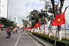 la-co-viet-nam