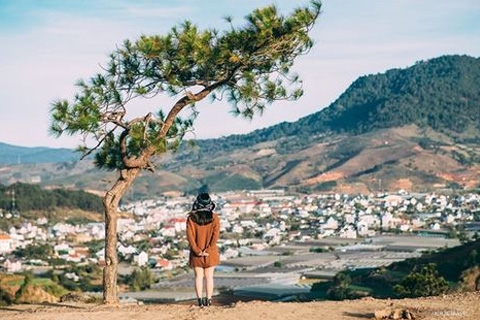 Bí quyết du lịch Đà Lạt tự túc giá rẻ để xách túi và đi ngay không cần suy nghĩ