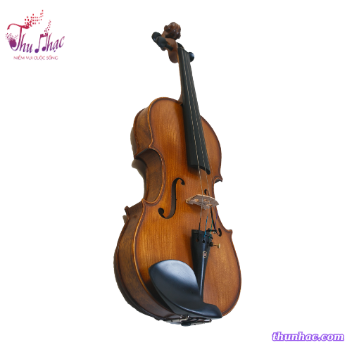Đàn violin N.Khaly size 4/4 chính hãng