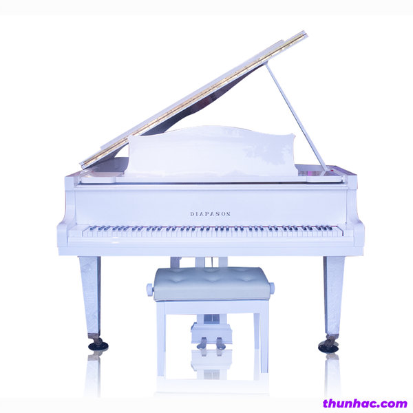dan-piano-co-grand-diapason-no170