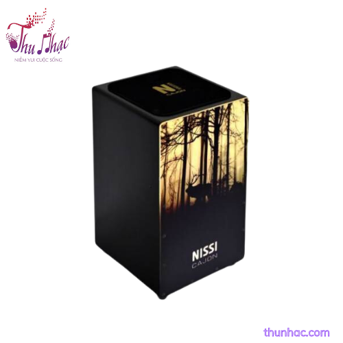 cajon-nissi-hinh
