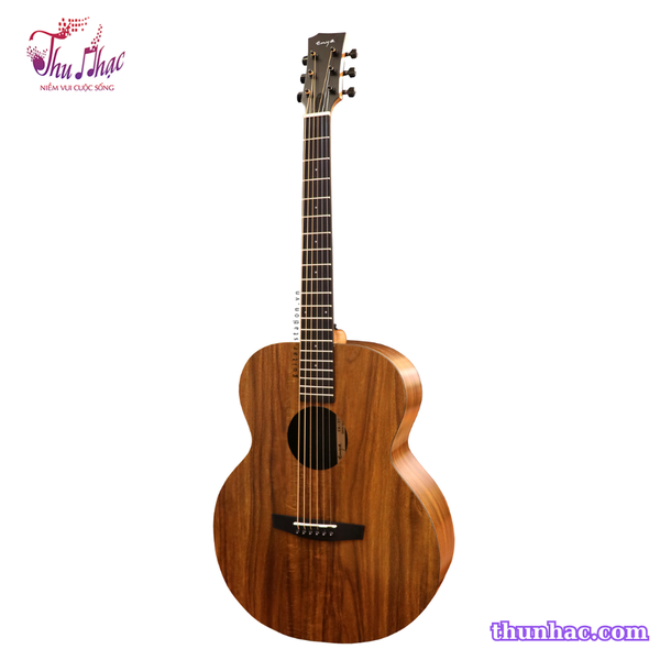 guitar-acoustic-enya-x1ce