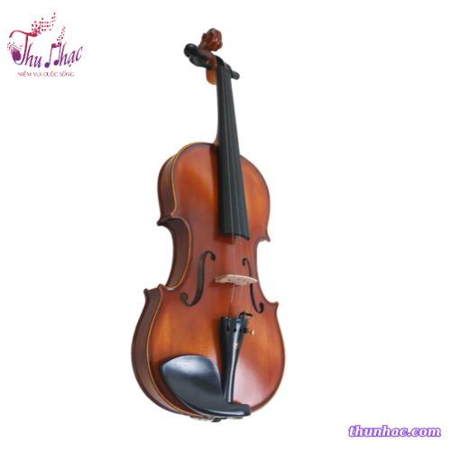 Đàn violin Yamaha size 4/4 chính hãng