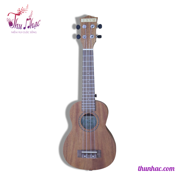 dan-ukulele-go-concert-size-21