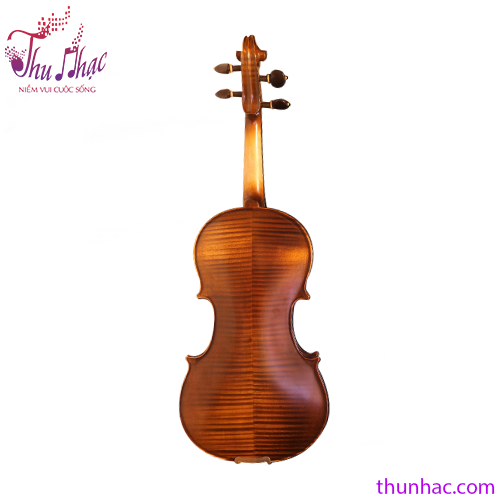 Mặt sau đàn violin Amati 3/4