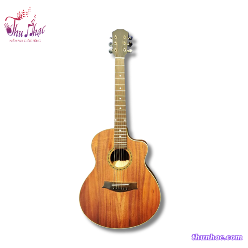 guitar-acoustic-fm2-hong-dao-size-1-2