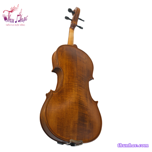 Lưng và Hông đàn violin N.Khaly size 4/4