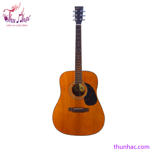 guitar-acoustic-morris-w30s