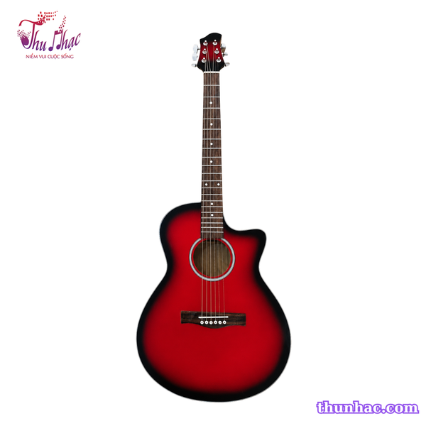 guitar-acoustic-tnve-70d