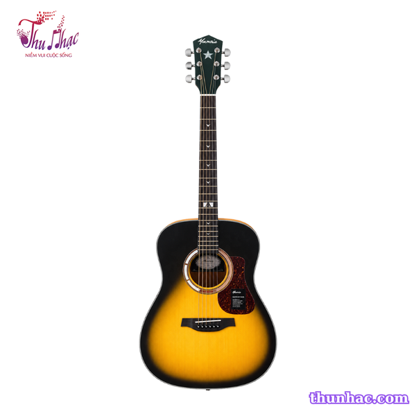 guitar-acoustic-mantic-d1-cam-den
