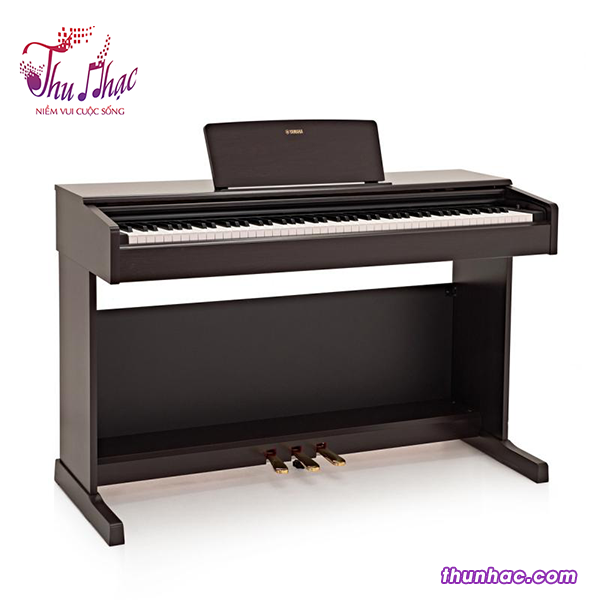 dan-piano-dien-yamaha-ydp-145r