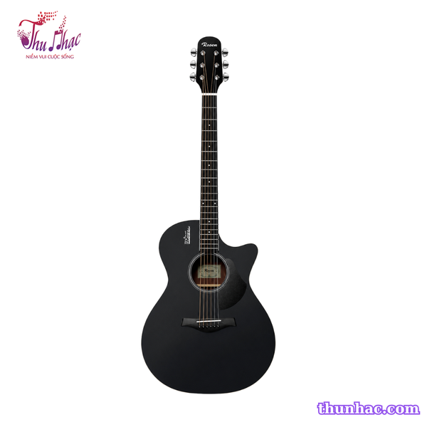 guitar-acoustic-rosen-g12-neo-den