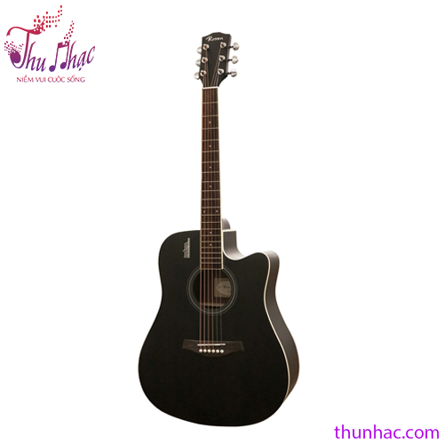 guitar-acoustic-rosen-den-r135