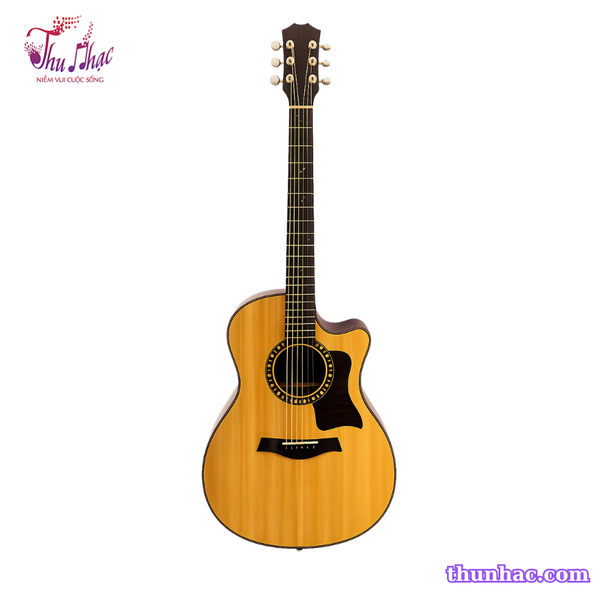 guitar-acoustic-go-thong-sitka-cedar-t400