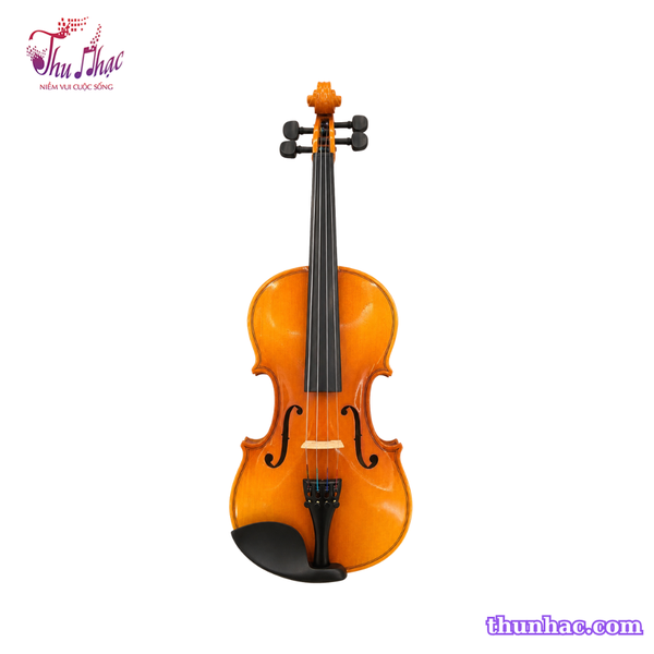 violin-bong-thuong-size-2-4