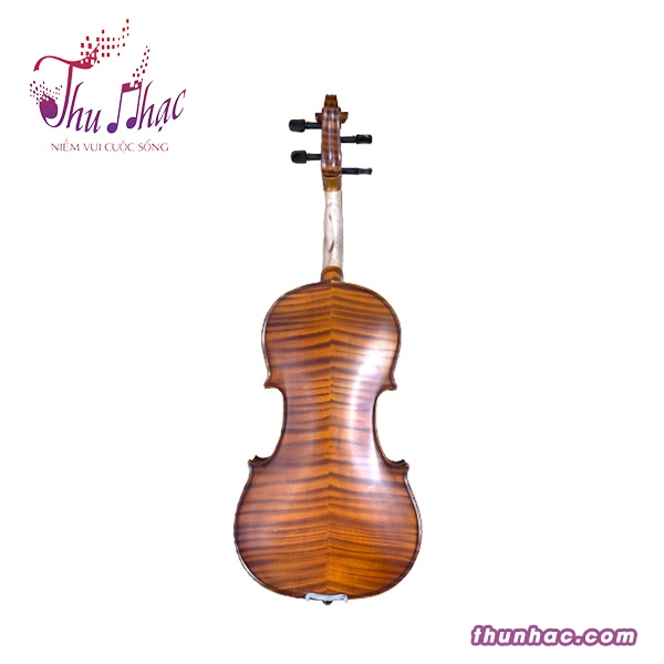 Mặt sau đàn violin Scott Cao size 4/4
