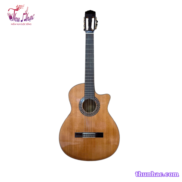 dan-guitar-classic-tnc-350j