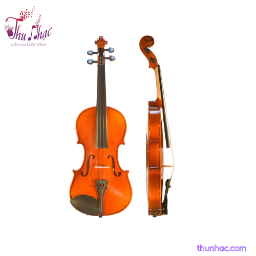 violin-saiger-size-4-4