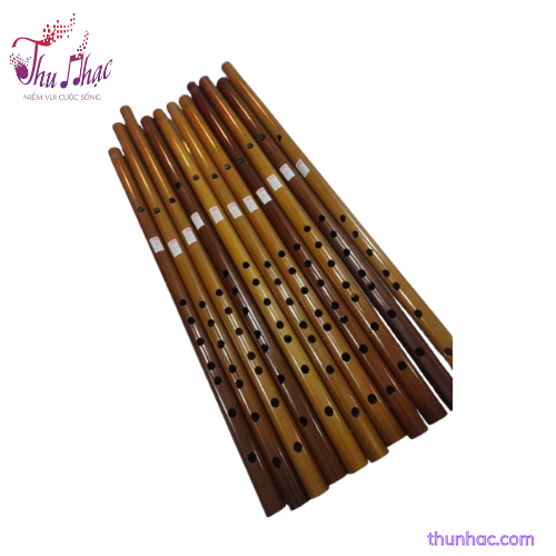 sao-nua-viet-hun-khoi