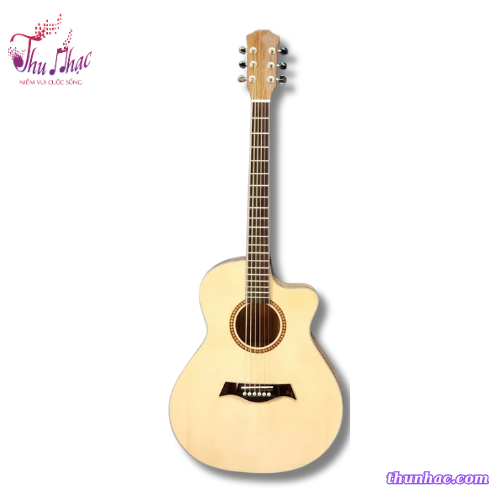 guitar-acoustic-a6-go-soi-phap