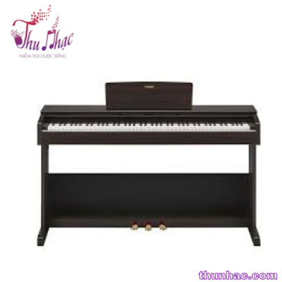 dan-piano-dien-yamaha-arius-ydp-105r