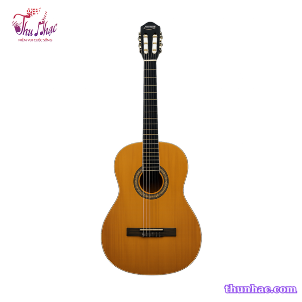 guitar-classic-victoria-vt200-vang-eq