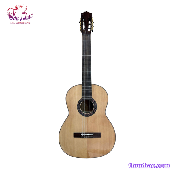 dan-guitar-classic-tnc-250