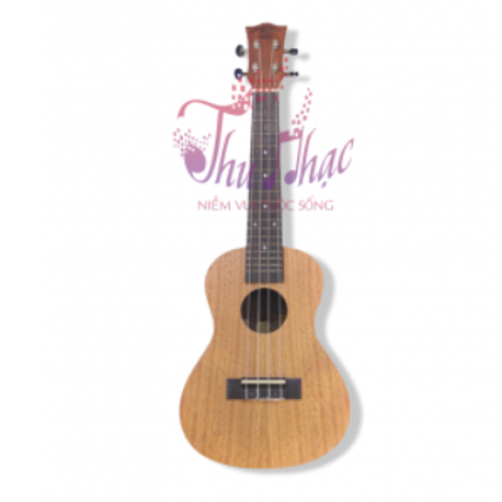 dan-ukulele-go-concert-size-23