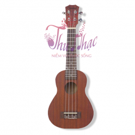 dan-ukulele-go-caramel-size-21