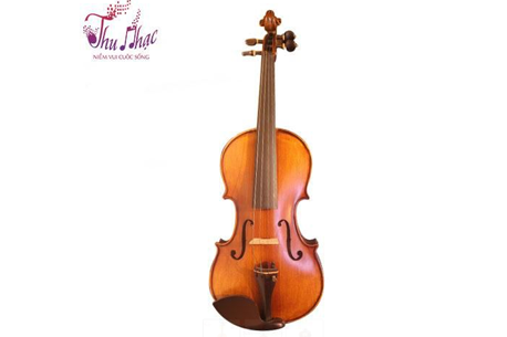 Mặt trước đàn violin Amati 3/4