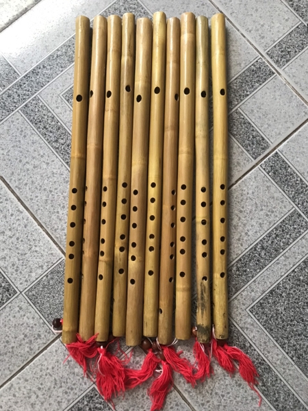 sao-truc-10