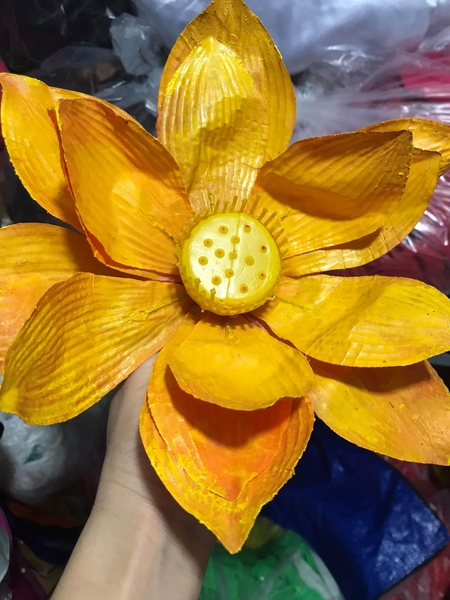 cs1-hoa-xo-ngon-vang