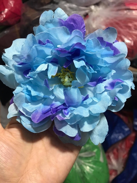 dch7-hoa-xo-ngon-xanh-ti-m