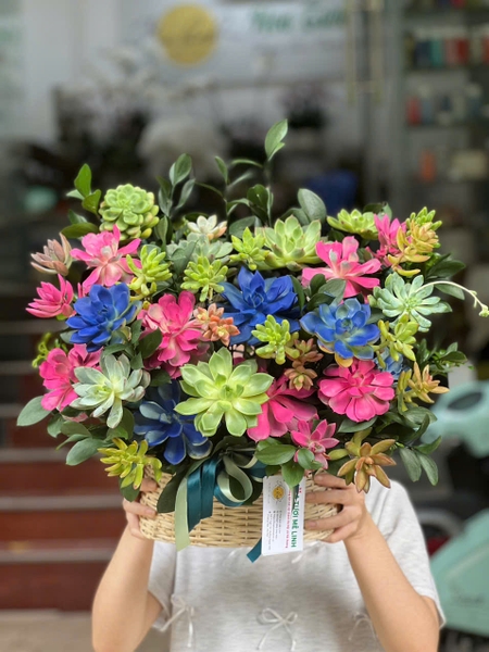 gio-sen-da-mix-mau-ruc-ro