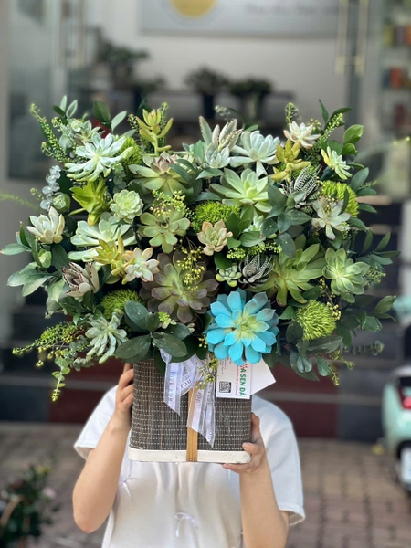 gio-hoa-sen-da-tone-xanh