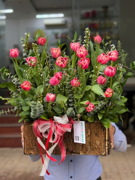 lang-hoa-tulip-kep