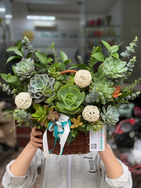 gio-hoa-sen-da-nguyen-ban