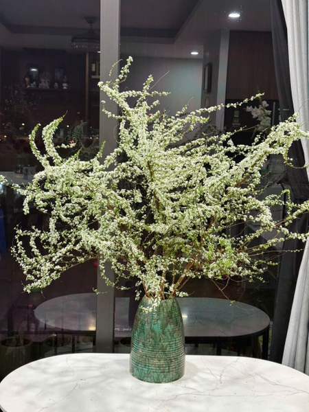 tuyet-mai-vip-bo-4-6-canh