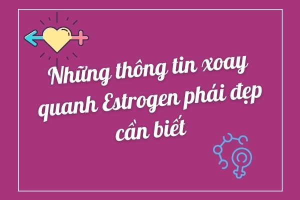 Những thông tin xoay quanh Estrogen phái đẹp cần biết