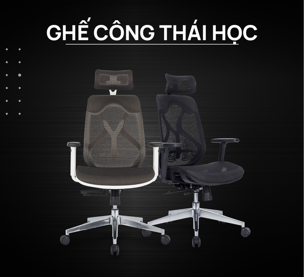 Ghế công thái học HPW01