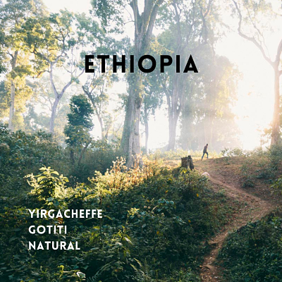 Cà phê túi lọc Ethiopia Natural 10 gói/ hộp