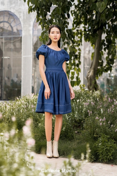 Julia denim dress