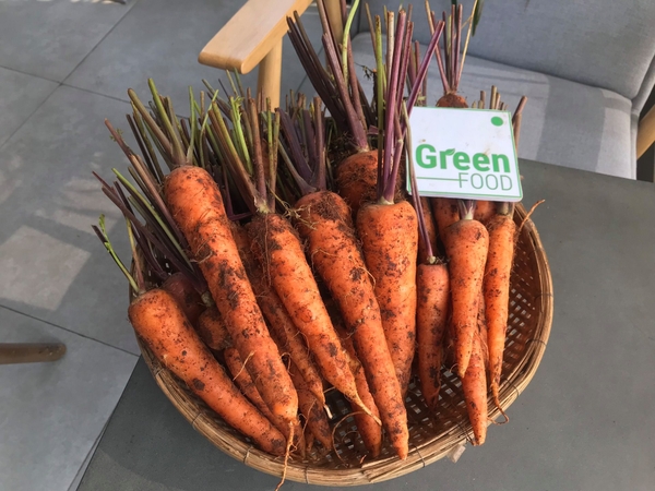 Carrot Giống Nhật/ Cọng Tím/ Babe - PTCT Hữu Cơ