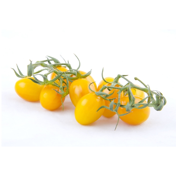 Cà Chua Trái Cây Nhật Kata Farm - PTCT Hữu Cơ
