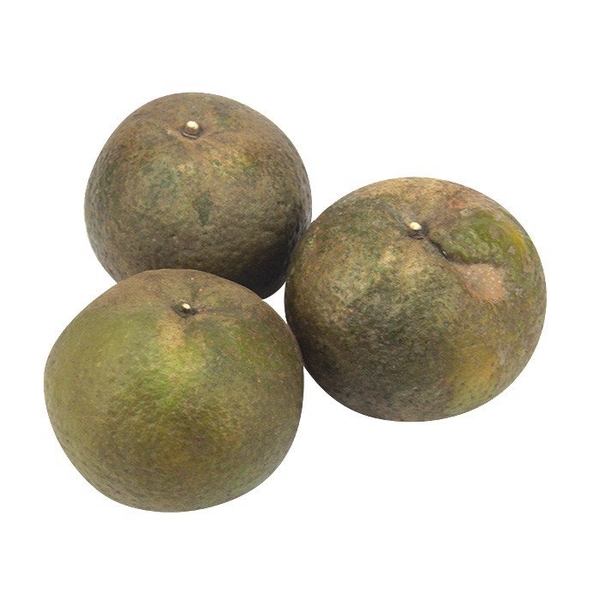 Cam Xoàn Hữu Cơ Bình Dương (Đức Tiến) (Vỏ Xấu)