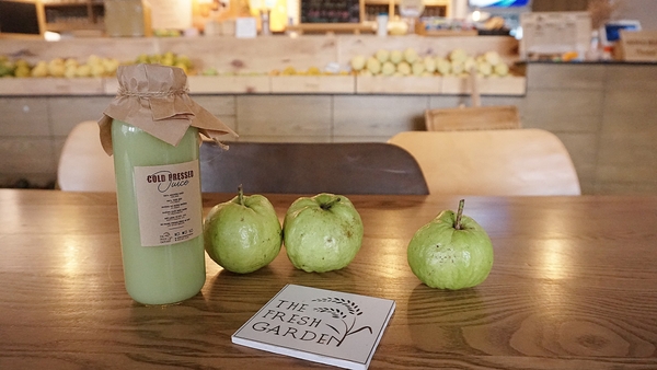 (Green) Ép Ổi Nữ Hoàng Nguyên Chất (Guava juice)