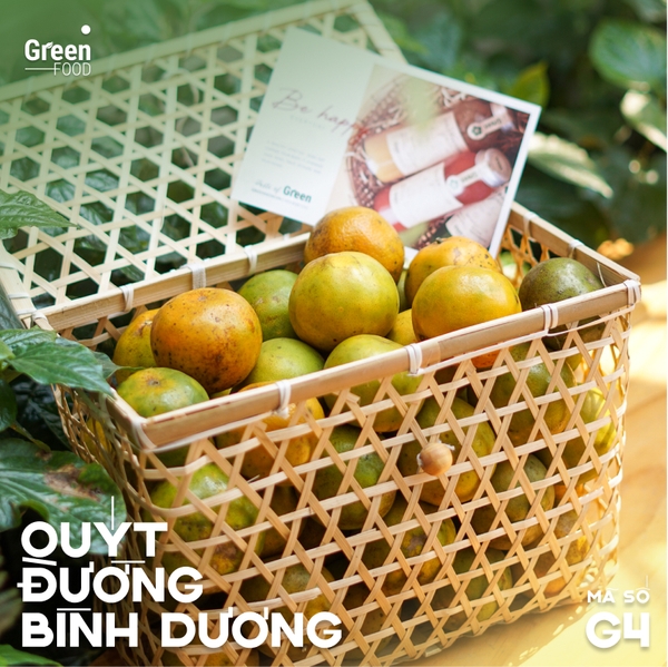 Giỏ Quà Quýt Đường Bình Dương Hữu Cơ (G3)