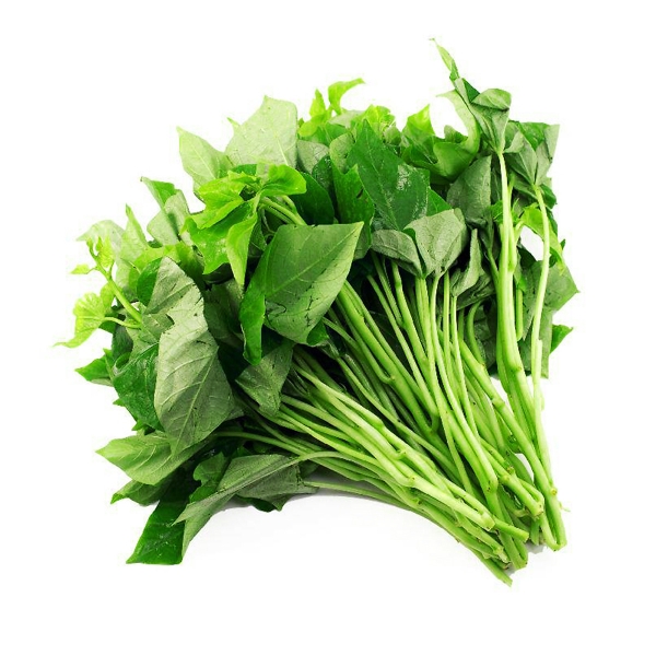 Ngọn Lang - Rau Ăn Lá - PTCT Hữu Cơ